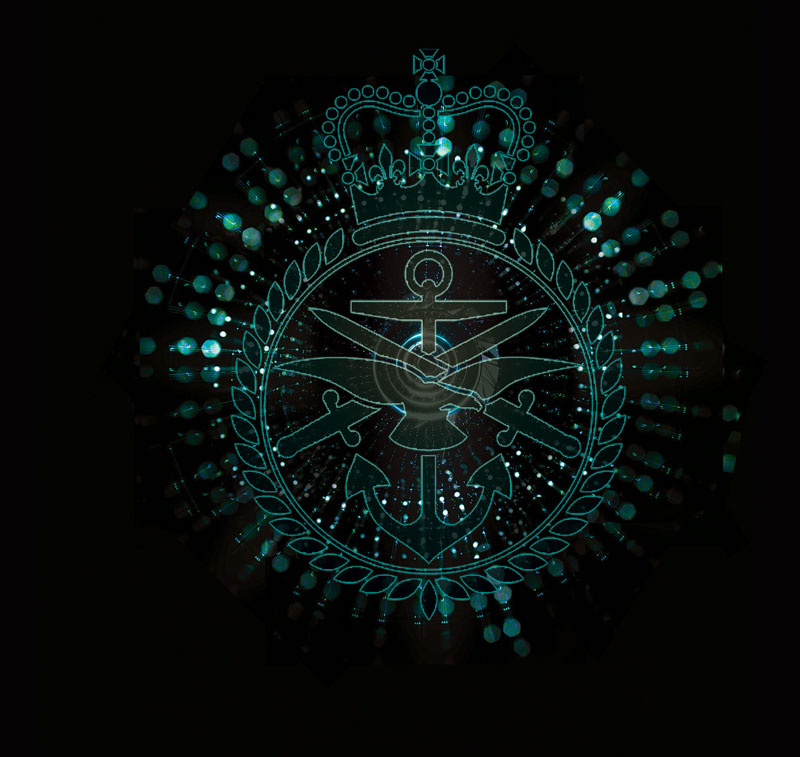 dss-yb-2017_cover_web